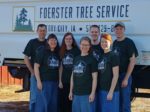 See the Foerster for the Trees!
