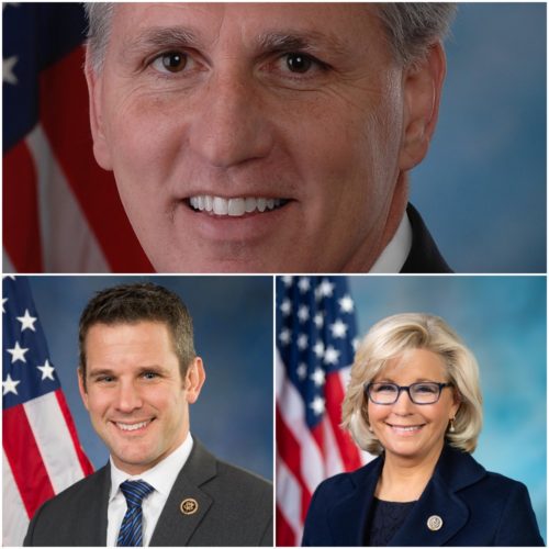 kinzinger committee assignments