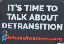 LETTER: A Love Letter to Detransitioners